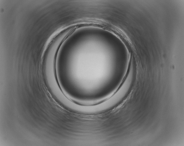 X0000084581172200702231248
