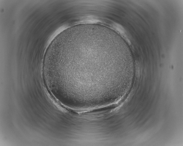 X0000084581186200702231247