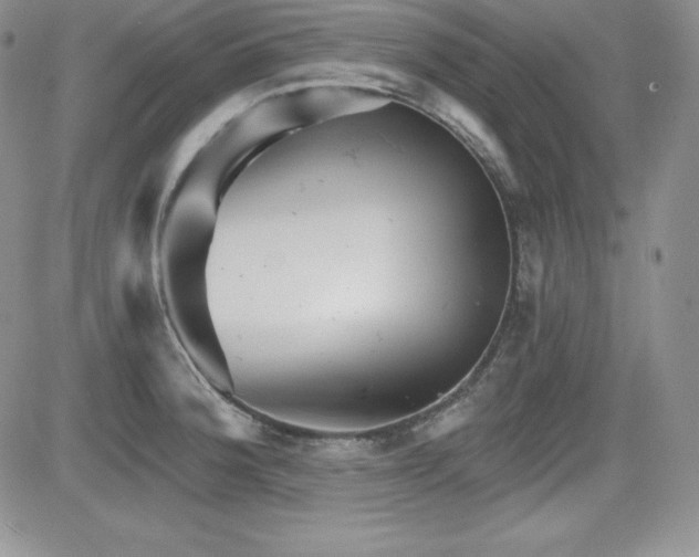 X0000084581188200702231247