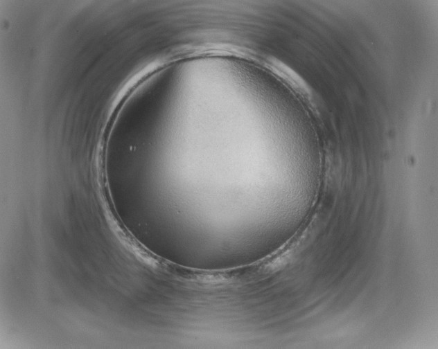 X0000084581190200702231247