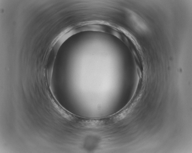 X0000084581193200702231247