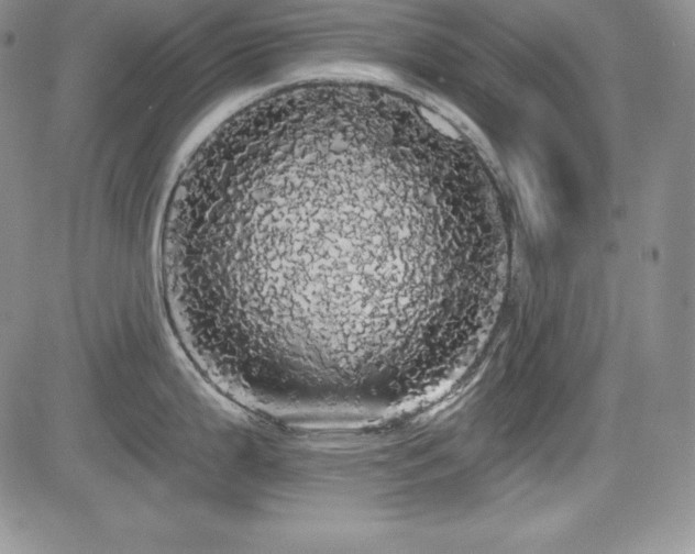 X0000084581199200702231247