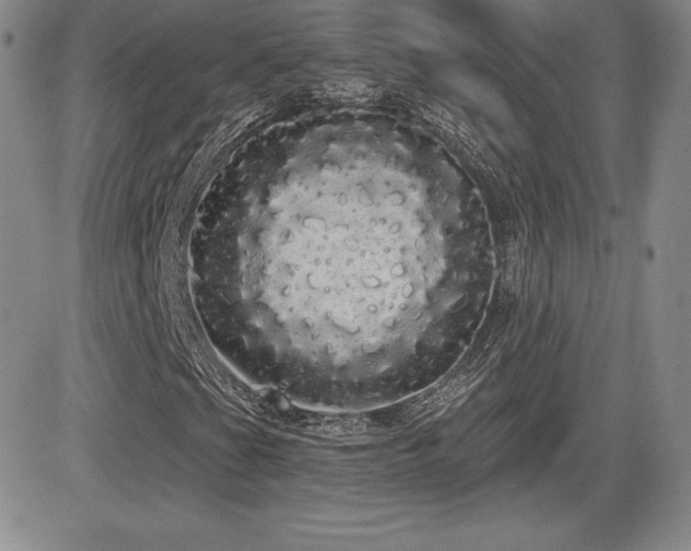 X0000084581201200702231246