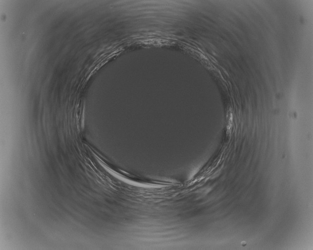 X0000084581202200702231246