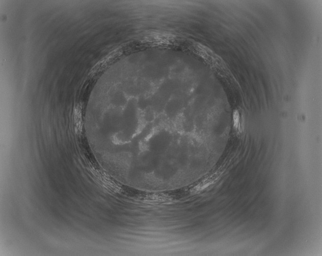 X0000084581203200702231246