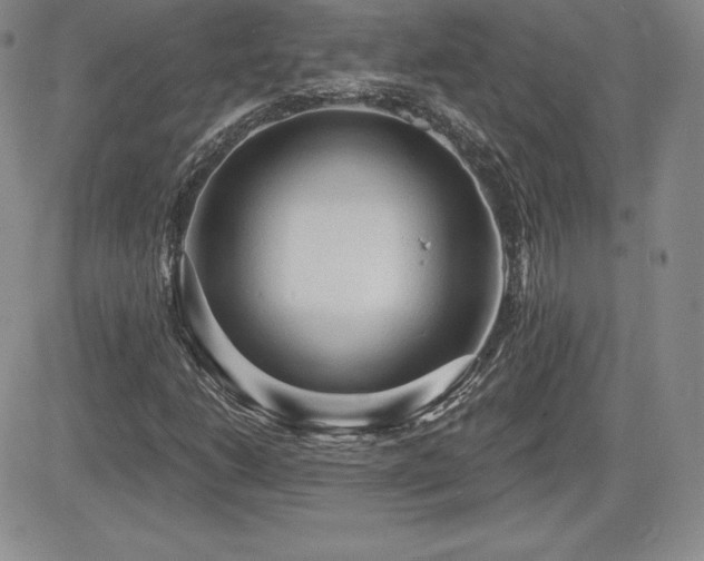 X0000084581206200702231246