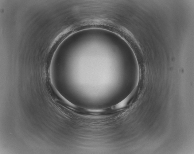X0000084581218200702231247