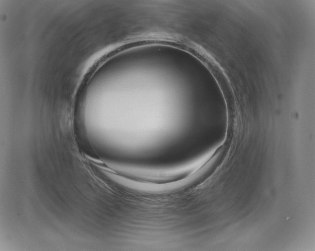 X0000084581222200702231247