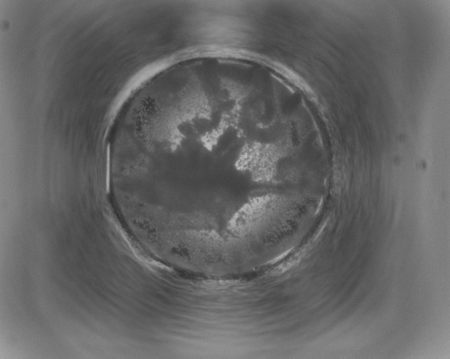 X0000084581223200702231247