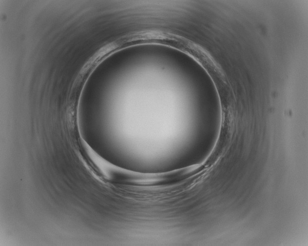 X0000084581225200702231247