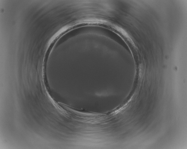 X0000084581229200702231247