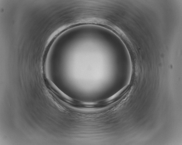 X0000084581230200702231247