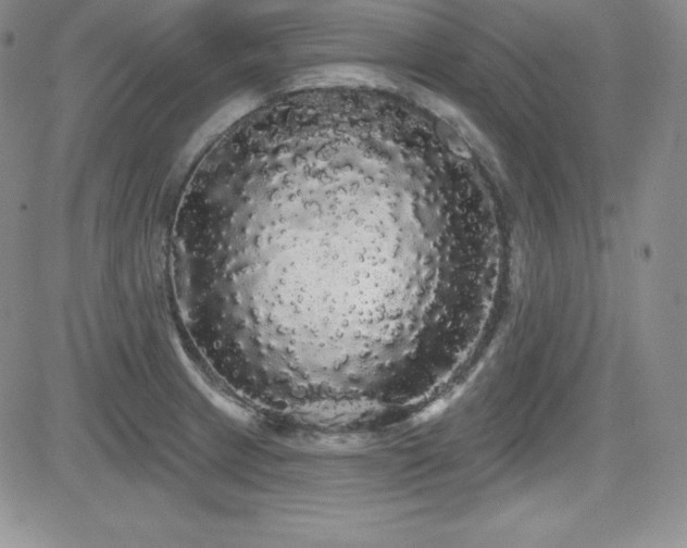 X0000084581233200702231247