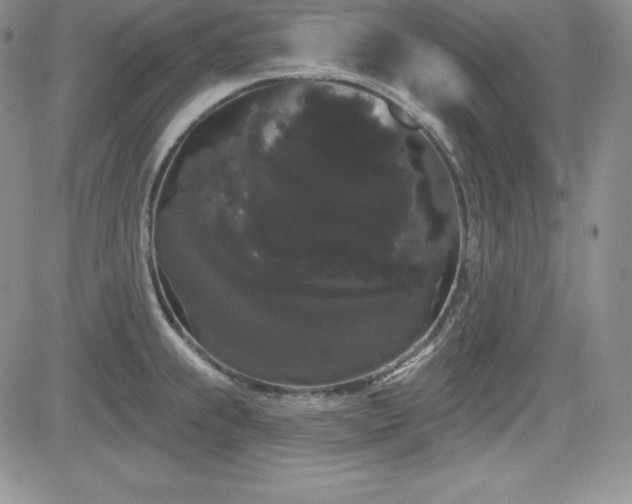 X0000084581239200702231247