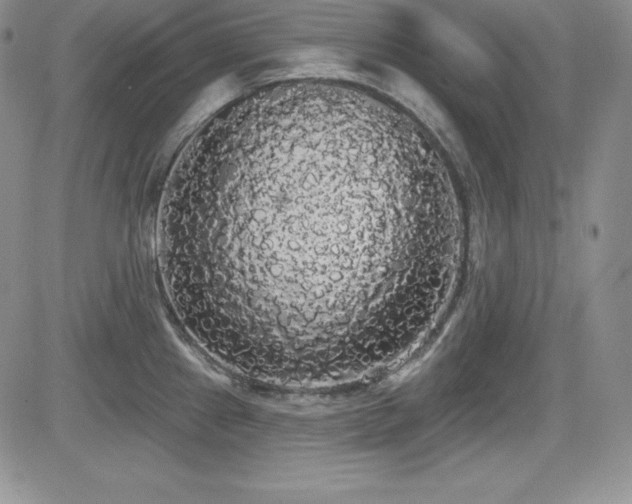 X0000084581241200702231247