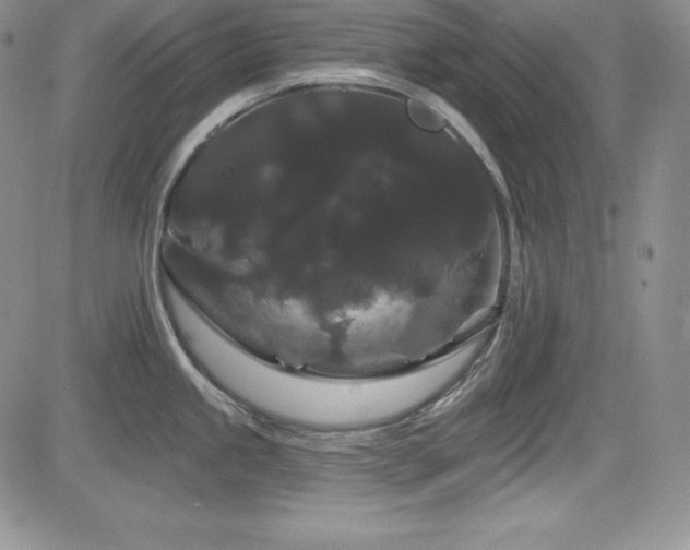 X0000084581245200702231247