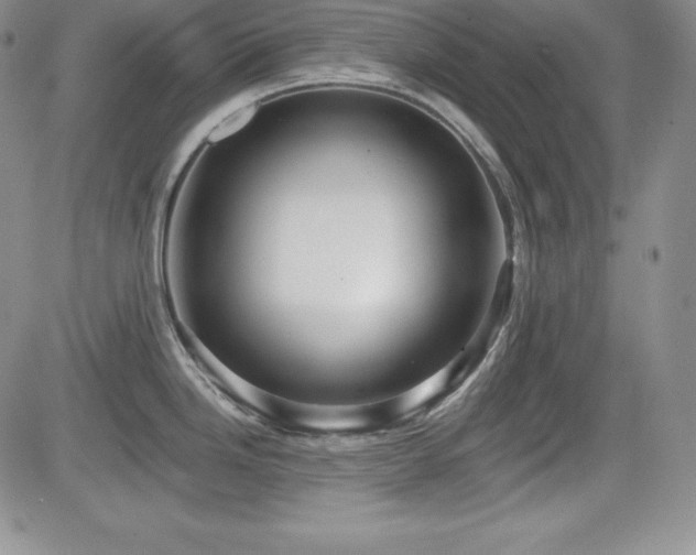 X0000084581246200702231247