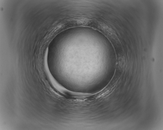 X0000084581249200702231246