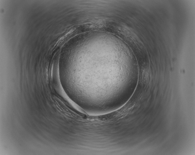 X0000084581250200702231246
