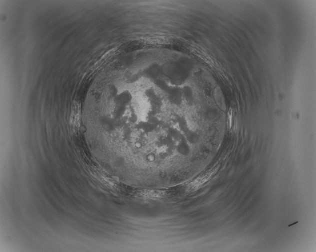 X0000084581251200702231246