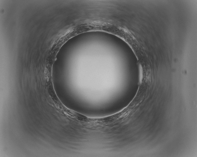 X0000084581253200702231246