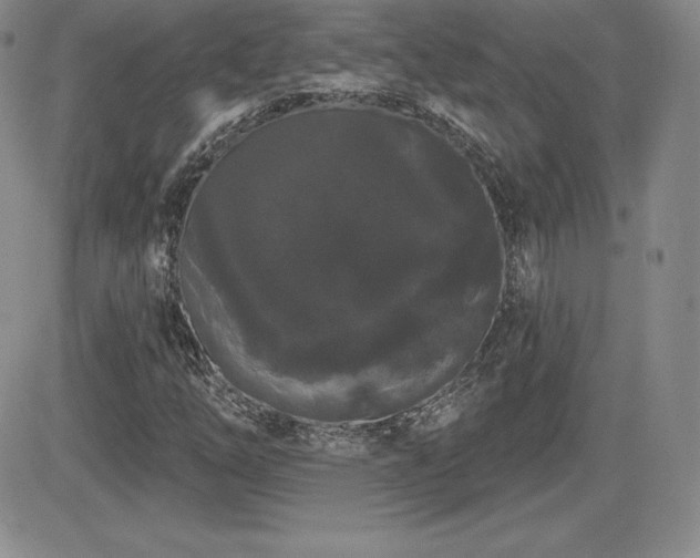 X0000084581254200702231246