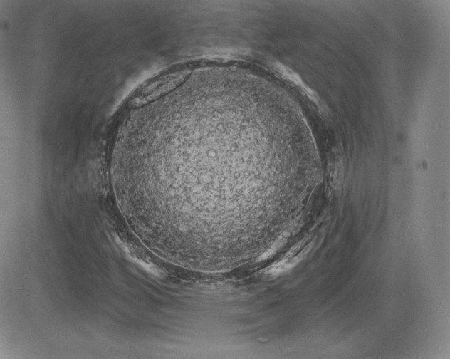 X0000084581256200702231246