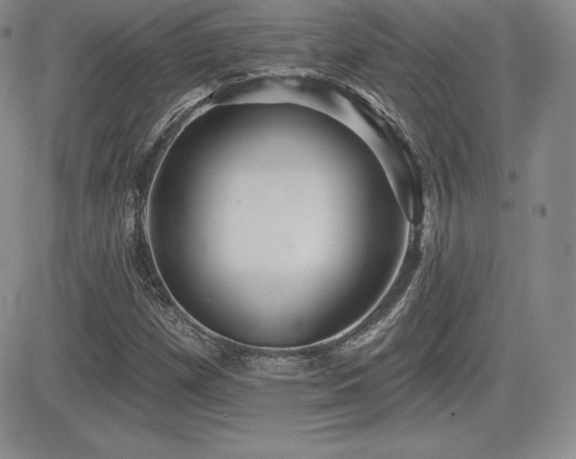 X0000084581257200702231246
