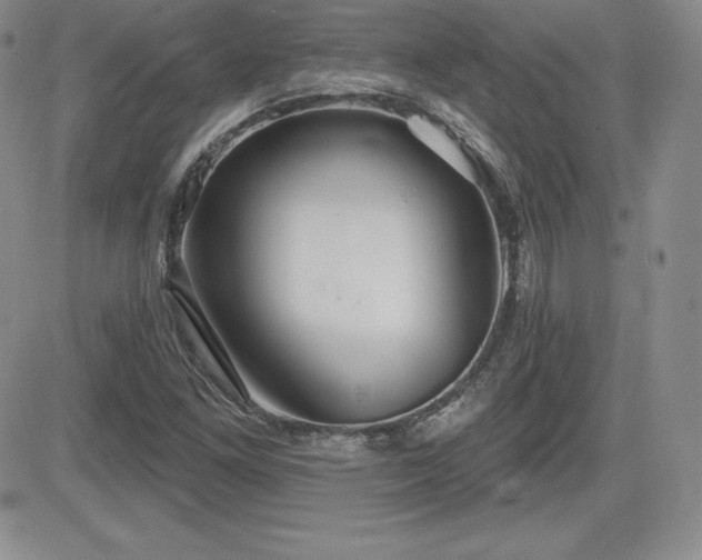 X0000084581261200702231246