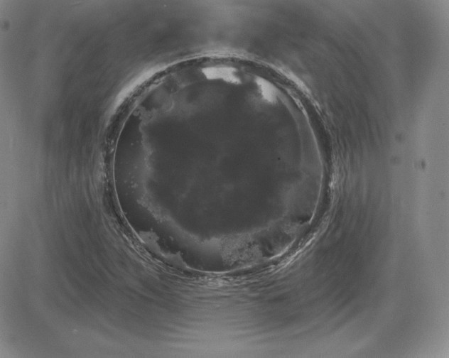 X0000084581263200702231246