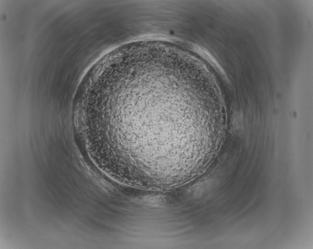 X0000084581268200702231246
