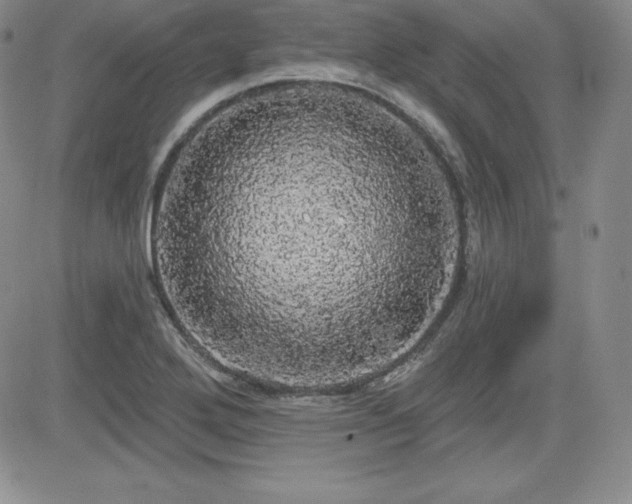X0000084581272200702231246