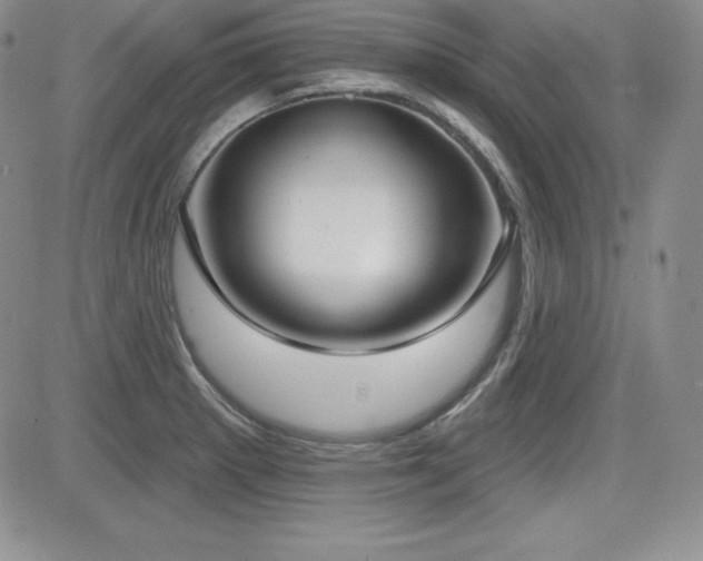 X0000084581281200702231246