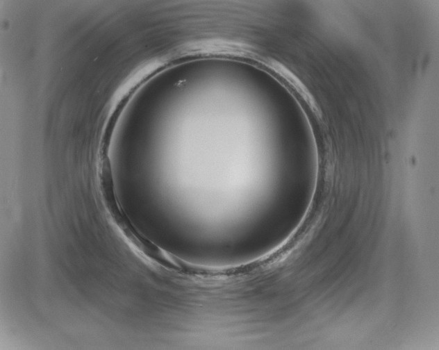 X0000084581285200702231246