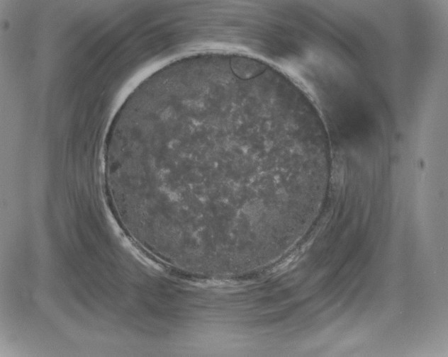 X0000084581287200702231246