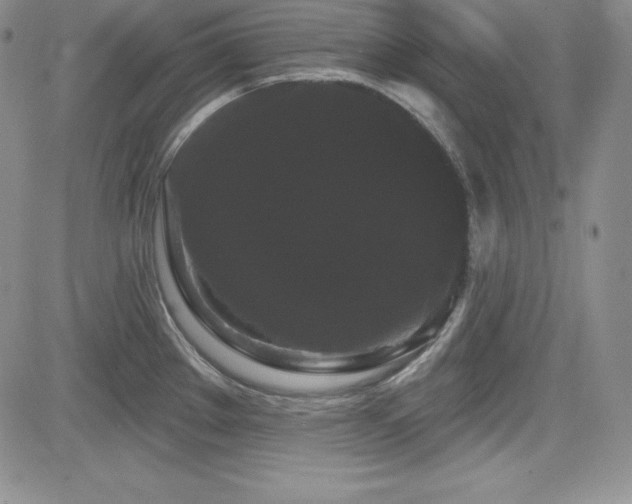 X0000084581289200702231246