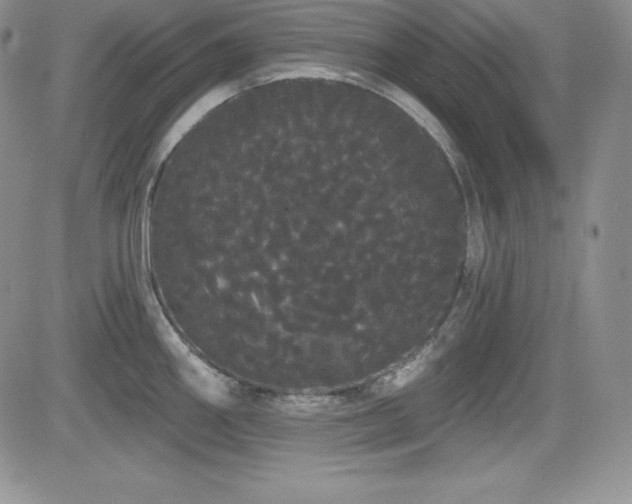 X0000084581290200702231246