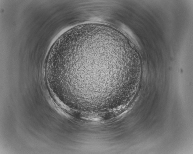 X0000084581292200702231246