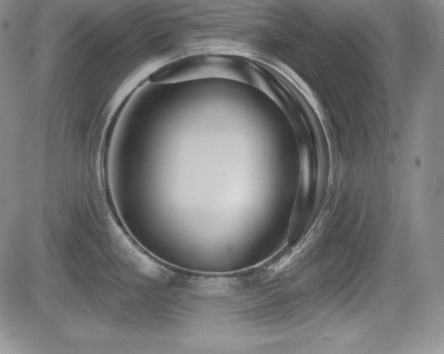 X0000084581293200702231246