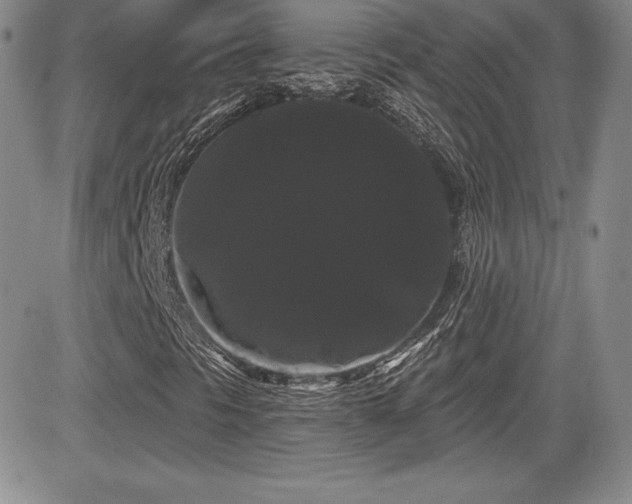 X0000084581297200702231245