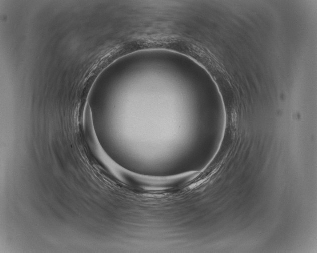 X0000084581300200702231245