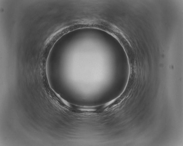 X0000084581304200702231245