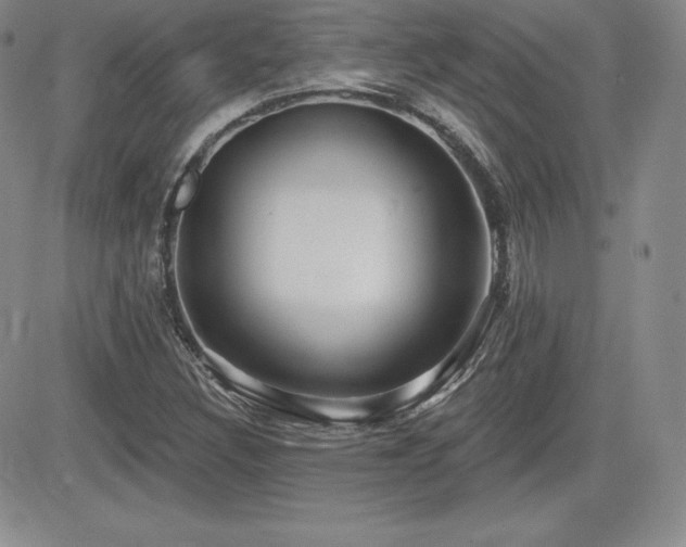 X0000084581308200702231245
