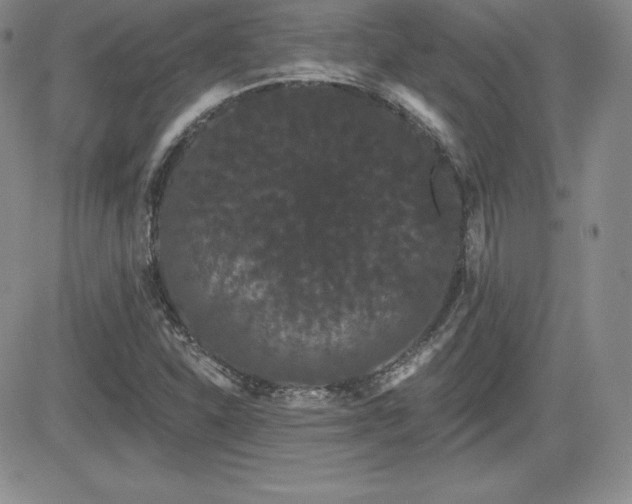 X0000084581310200702231245