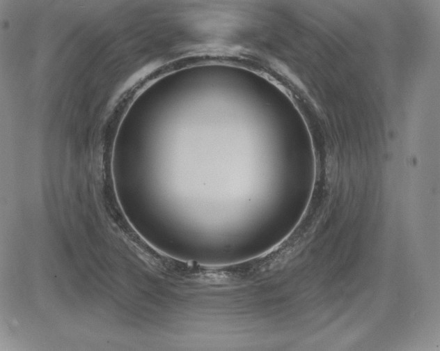 X0000084581315200702231245