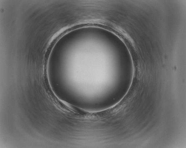 X0000084581316200702231245
