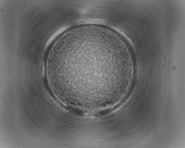 X0000084581317200702231245