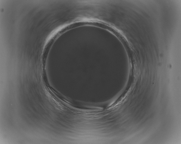 X0000084581319200702231245