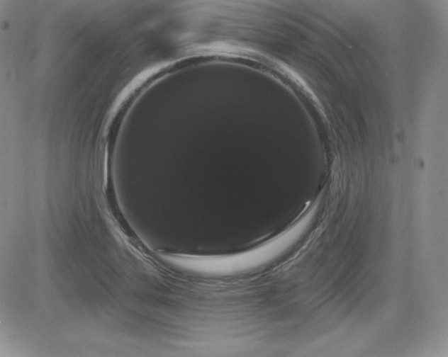 X0000084581323200702231245