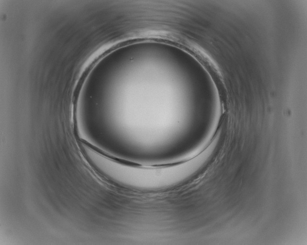 X0000084581324200702231245